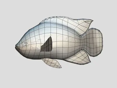 Rainbow Cichlid Low-poly 3D model