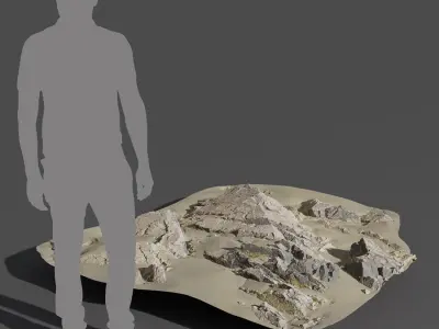  Medium Jagged Beach Rock Model 
