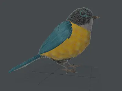 Cartoon Bird 3D model