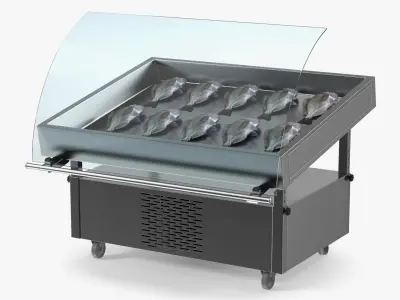  Gilthead Dorado in Stainless Steel Fish Display Counter 