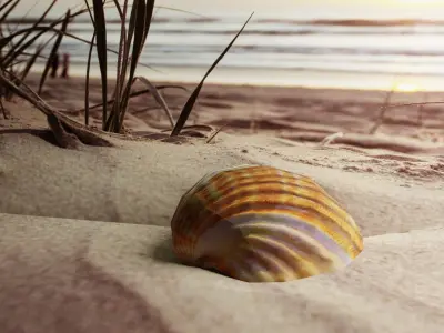 3D-Scanned Seashells - Set of 6 Seashells Low-poly 3D model