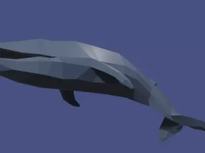 Whale Free low-poly 3D model purchase