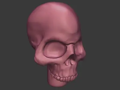 skull Free 3D print model