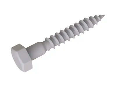 lag Bolts 3D Model 3D model