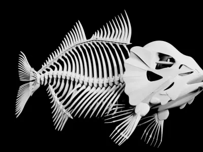 Fish skeleton Low-poly 3D model