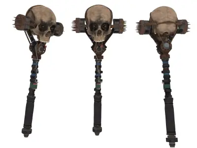 skull bone Free 3D model