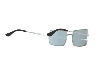 Tint Sunglasses 3D model