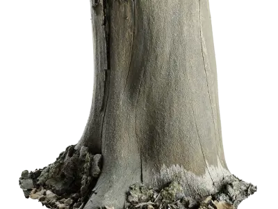  Medium Bare Cut Deciduous Forest Stump Model 