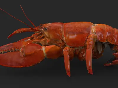 Lobster Low-poly 3D model buy