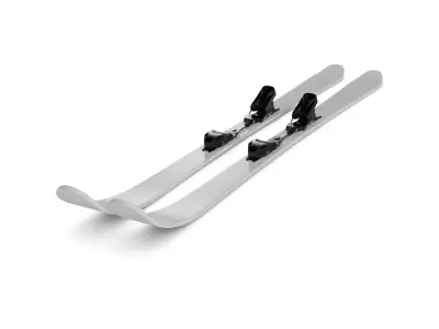 Cross Country Ski 3D model get