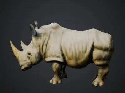 Rhino 3D model get