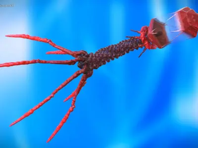  Bacteriophage Rigged for Cinema 4D 