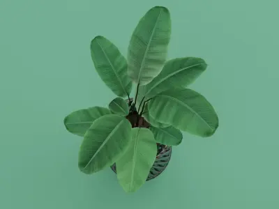  description of plant Free 3D model