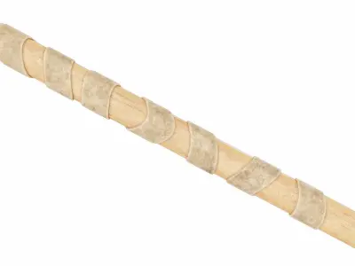 Spear with leaf shaped tip 3D model