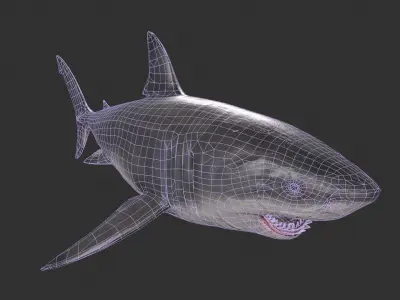 Great White Shark Low-poly 3D model 3