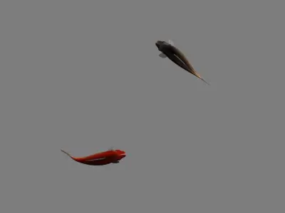 Ink Fish ink painting animation 3D model