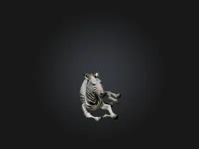 Realistic Hurt Zebra Model Low-poly 3D model