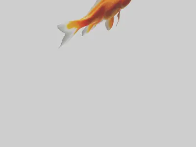 Goldfish swimming in tank model Low-poly 3D model