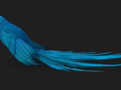 Parrot A6 3D model