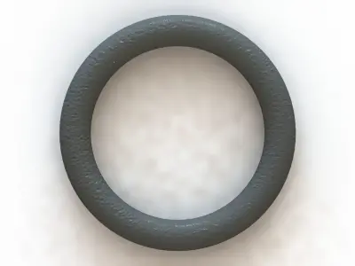 O Ring Vedabras 12790 3D model
