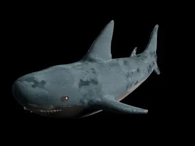 Shark Stuffed Animal 3D model
