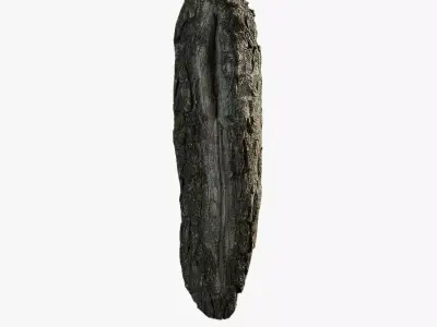 Anydrafts Salix matsudana Burl 11 Low-poly 3D model