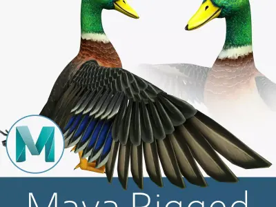 Mallard Duck Low-poly 3D model