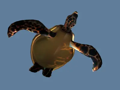 golden turtle Low-poly 3D model