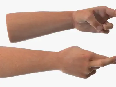 Human Arm Set with Fingers Crossed 3D model