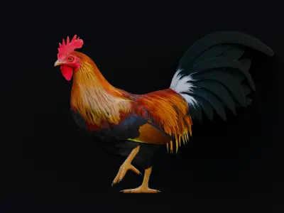 Rooster 3D model shop