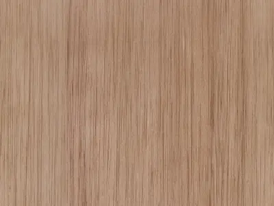 Mortar and Plastering Tools 3D model