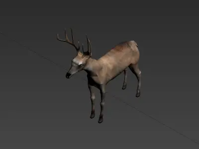 deer  stag animale forest  elk  mammal horn  3D model