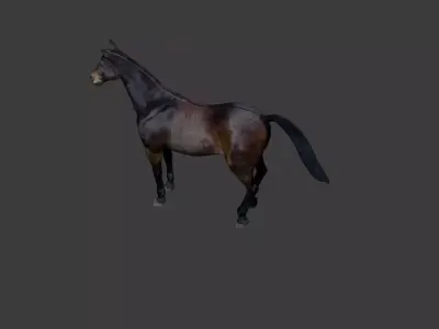 Horse Free 3D model buy