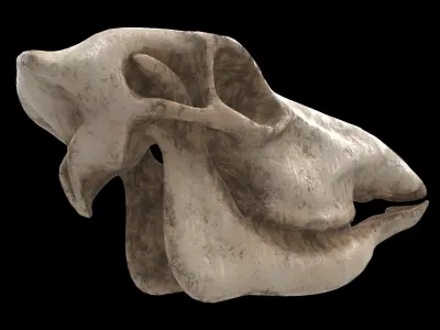 deer skull 3D model