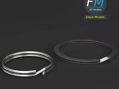 Split rings 3D model