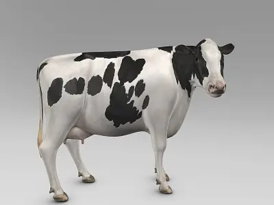Cow Holstein  purchase 3D model