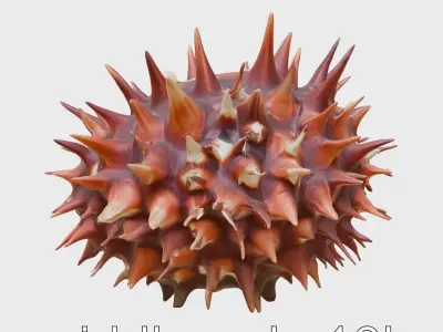 Venomous Fire Urchin with Spines Low-poly 3D model