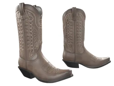 Brown Western Boots(1) 3D model