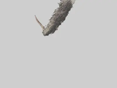 Opossum Tail Model 3D model