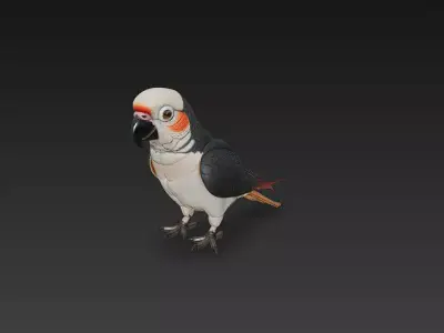 Parrot Realistic 3D Model Basic - Low Poly Realistic Low-poly 3D model