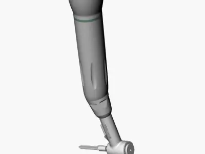 dental angle  3D model