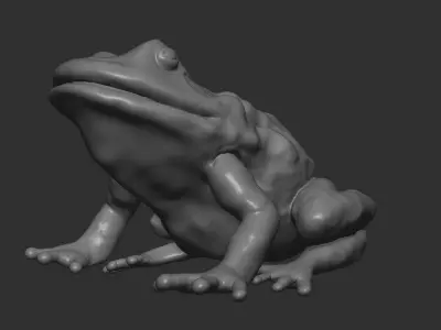 FROG model Low-poly 3D model