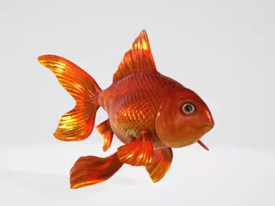 Goldfish 3D model shop