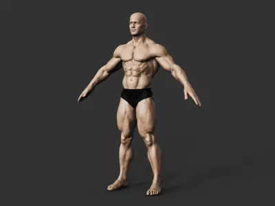 Bodybuilder 3D print model order