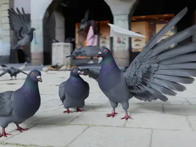 Pigeon Low-poly 3D model buy