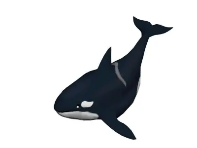 Killer whale Low-poly 3D model buy