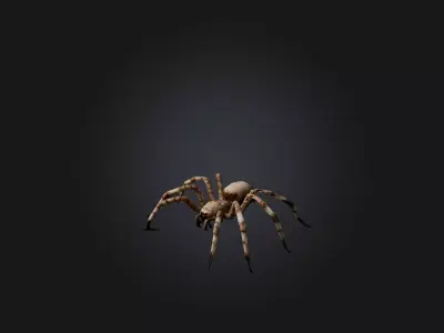 Giant Spider Low-poly 3D model purchase