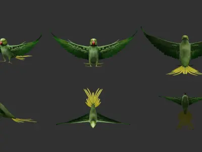 Parakeet parrot in flight 3D model