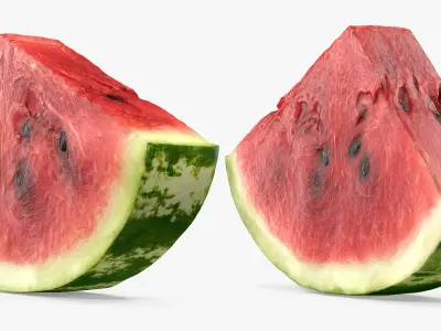 Sliced Watermelon Collection 3D model