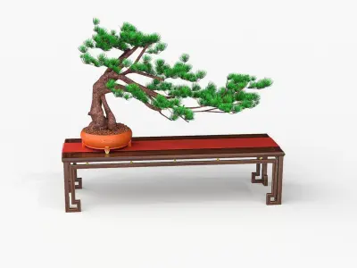  Bonsai 